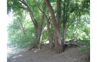 Property photo 2 - 27 Acres offered in 2 Tracts or Combination, Former U.A.W. Hall